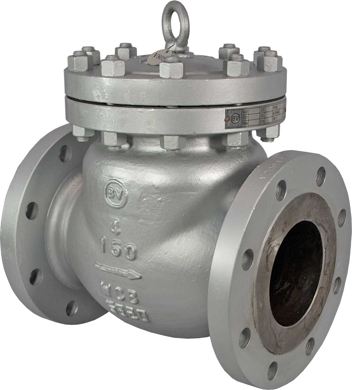 Check Valves